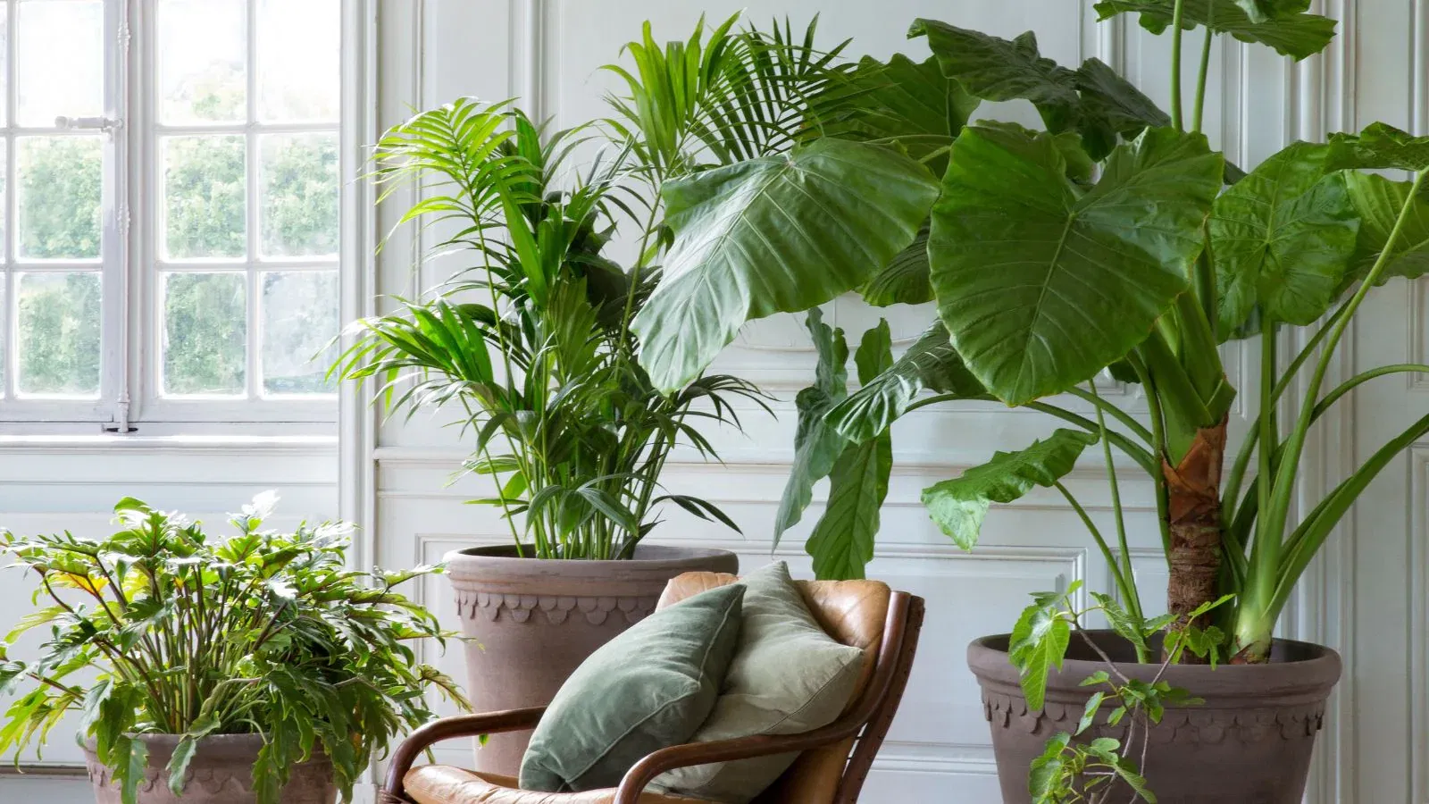 Bring Nature Into Your Home